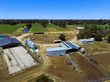 Farm For Sale - VIC - Yarroweyah - 3644 - First Class Fully Operational Dairy Enterprise - 160.7 Ha (397 Acres)  (Image 2)