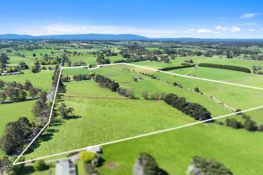 Farm Tender - VIC - Nilma - 3821 - Unique Land Banking Opportunity  (Image 2)