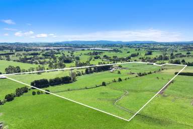 Farm Tender - VIC - Nilma - 3821 - Unique Land Banking Opportunity  (Image 2)