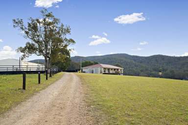 Farm For Sale - NSW - Bulahdelah - 2423 - A Lifestyle of Pure Serenity  (Image 2)