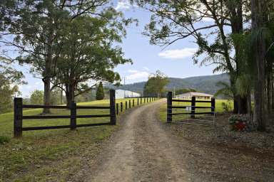 Farm For Sale - NSW - Bulahdelah - 2423 - A Lifestyle of Pure Serenity  (Image 2)