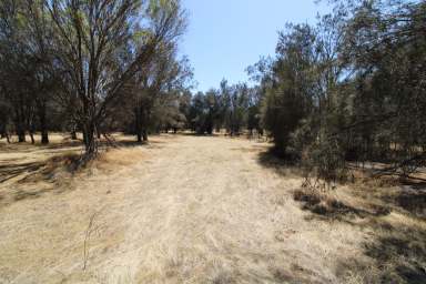 Farm For Sale - WA - Woodanilling - 6316 - Lifestyle  Block 2.09 Hectares on edge of Woodanilling.  (Image 2)