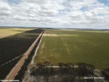 Farm For Sale - WA - Needilup - 6336 - "Ernies"  (Image 2)