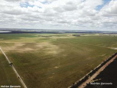 Farm For Sale - WA - Needilup - 6336 - "Ernies"  (Image 2)