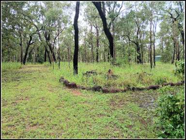 Farm For Sale - QLD - Millstream - 4888 - Looking over the Millstream to natures views.  (Image 2)