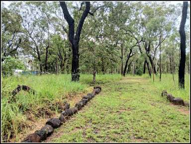 Farm For Sale - QLD - Millstream - 4888 - Looking over the Millstream to natures views.  (Image 2)