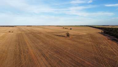 Farm For Sale - SA - Karoonda - 5307 - Rare Large Scale Leasing Opportunity  (Image 2)