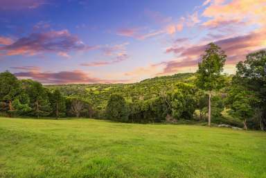 Farm For Sale - QLD - Black Mountain - 4563 - A Private Paradise on 5 Acres  (Image 2)