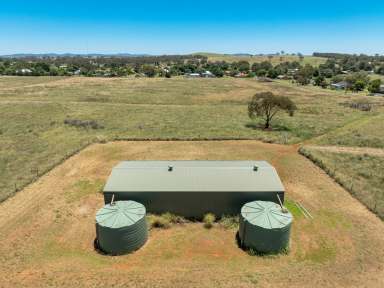 Farm Auction - NSW - Cumnock - 2867 - 'Barter Block' -  A Lifestyle and Investment Opportunity  (Image 2)