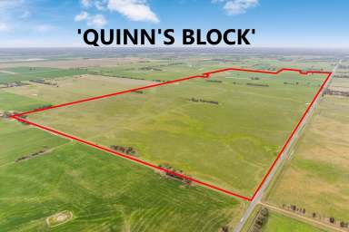 Farm For Sale - VIC - Echuca - 3564 - Byrne Aggregation – 474ha (1,170 acres) of Prime Irrigated Farmland
Available as a whole or as two individual farms.  (Image 2)