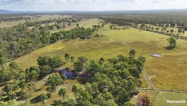 Farm For Sale - QLD - Eureka - 4660 - 100 ACRES OF GOLDEN OPPORTUNITY - HOUSE, BORE, DAMS & IMPROVED PASTURE  (Image 2)