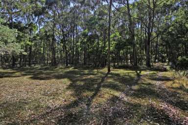 Farm For Sale - VIC - Ashbourne - 3442 - Ashbourne Escape. 7.5 acres vacant land  (Image 2)