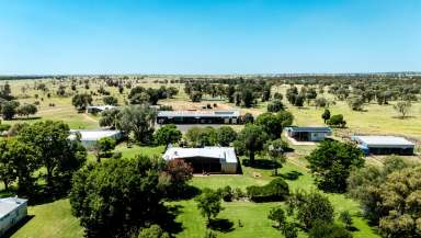 Farm For Sale - QLD - Mungallala - 4467 - Institutional Scale Breeding and Backgrounding  (Image 2)