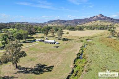 Farm For Sale - NSW - Tenterfield - 2372 - Rural Lifestyle Living.....  (Image 2)