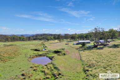 Farm For Sale - NSW - Tenterfield - 2372 - Rural Lifestyle Living.....  (Image 2)