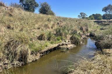 Farm For Sale - NSW - Lewis Ponds - 2800 - Opportunity to own mix farming on 60 acres, 15 minutes from town!  (Image 2)