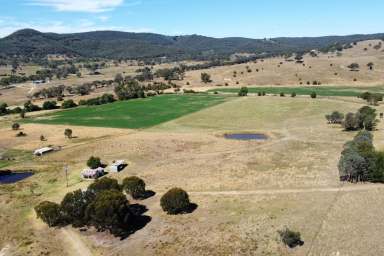 Farm For Sale - NSW - Lewis Ponds - 2800 - Opportunity to own mix farming on 60 acres, 15 minutes from town!  (Image 2)