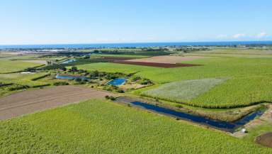 Farm For Sale - QLD - Qunaba - 4670 - 🚜 Future Opportunity on 23.8 Hectares of Premium Red Soil! 🚜  (Image 2)