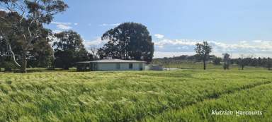 Farm For Sale - WA - Cranbrook - 6321 - "Constant Performer in a Central Location".  (Image 2)