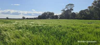 Farm For Sale - WA - Cranbrook - 6321 - "Constant Performer in a Central Location".  (Image 2)