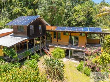 Farm For Sale - NSW - Mount Burrell - 2484 - Secluded Off-Grid Retreat: Sustainable Living in Nature’s Paradise  (Image 2)