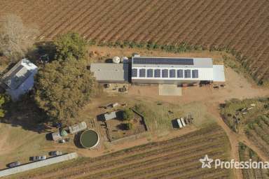 Farm Auction - VIC - Sunnycliffs - 3496 - Sunnycliffs Table Grape Property - 31 acres  (Image 2)