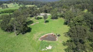 Farm For Sale - NSW - Nana Glen  - 2450 - Woodstock Park – Country lifestyle on the coast  (Image 2)