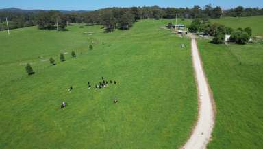 Farm For Sale - NSW - Nana Glen  - 2450 - Woodstock Park – Country lifestyle on the coast  (Image 2)