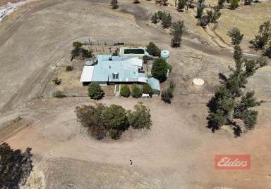 Farm For Sale - WA - Popanyinning - 6309 - Incredible Opportunity in Exceptional Location  (Image 2)