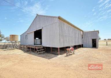 Farm For Sale - WA - Popanyinning - 6309 - Incredible Opportunity in Exceptional Location  (Image 2)