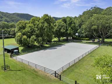 Farm For Sale - NSW - Stokers Siding - 2484 - Established Tweed Valley Equestrian Centre  (Image 2)