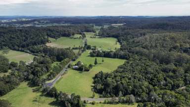 Farm For Sale - NSW - Lowanna - 2450 - COFFS HARBOUR HINTERLAND LIVING  (Image 2)