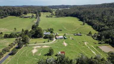 Farm For Sale - NSW - Lowanna - 2450 - COFFS HARBOUR HINTERLAND LIVING  (Image 2)