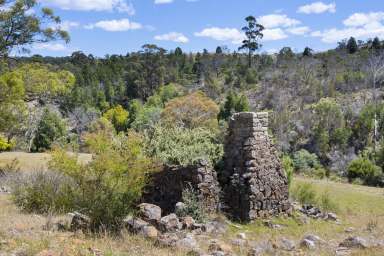 Farm For Sale - TAS - Triabunna - 7190 - Private & diverse holding with outstanding water views  (Image 2)