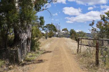 Farm For Sale - TAS - Triabunna - 7190 - Private & diverse holding with outstanding water views  (Image 2)