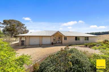 Farm For Sale - NSW - Bungendore - 2621 - Bright sunny future  (Image 2)