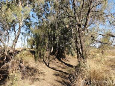 Farm For Sale - QLD - Dalby - 4405 - 4.97 HECTARES - (APPROX 12 ACRES VACANT LAND) - 2 TITLES - MYALL CREEK FRONTAGE  (Image 2)