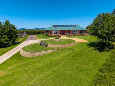 Farm For Sale - NSW - Candelo - 2550 - NORTH FACING WITH STUNNING VIEWS  (Image 2)