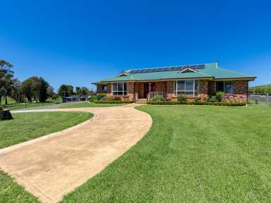 Farm For Sale - NSW - Candelo - 2550 - NORTH FACING WITH STUNNING VIEWS  (Image 2)