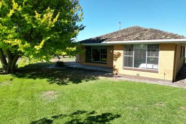 Farm For Sale - VIC - Camperdown - 3260 - Income Producing Lifestyle Opportunity  (Image 2)