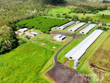 Farm For Sale - QLD - Biboohra - 4880 - IMMEDIATE INCOME AND A STRONG INVESTMENT  (Image 2)