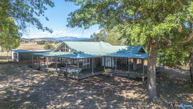 Farm For Sale - VIC - Mudgegonga - 3737 - Opportunity Knocks: Finish Your Dream Home on 3.5 Acres in Mudgegonga (STCA)  (Image 2)