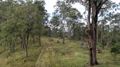 Farm Auction - NSW - Tenterfield - 2372 - Embrace Rural Bliss  (Image 2)