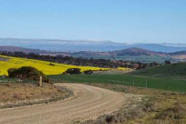 Farm For Sale - SA - Tarcowie - 5431 - East Lawns - Exceptional Broadacre Cropping & Grazing Opportunity  (Image 2)