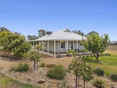 Farm For Sale - VIC - Molyullah - 3673 - Versatile 28 Acre property with quality 4 bedroom homestead  (Image 2)