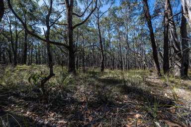 Farm For Sale - VIC - Staffordshire Reef - 3351 - Picturesque Acreage – Natural Bush Setting  (Image 2)