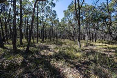 Farm For Sale - VIC - Staffordshire Reef - 3351 - Picturesque Acreage – Natural Bush Setting  (Image 2)