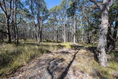 Farm For Sale - VIC - Staffordshire Reef - 3351 - Picturesque Acreage – Natural Bush Setting  (Image 2)