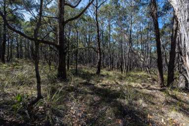 Farm For Sale - VIC - Staffordshire Reef - 3351 - Picturesque Acreage – Natural Bush Setting  (Image 2)