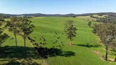 1292 Kangaroo Flat Road, Yarrowitch NSW 2354